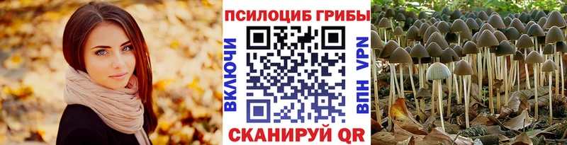гидра вход  Петровск  Псилоцибиновые грибы мицелий 